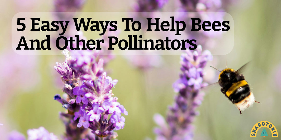 FIVE Easy Ways To Help Bees and Other Pollinators