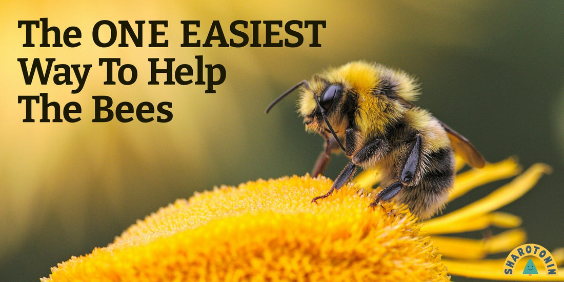 The ONE EASIEST Way To Help The Bees