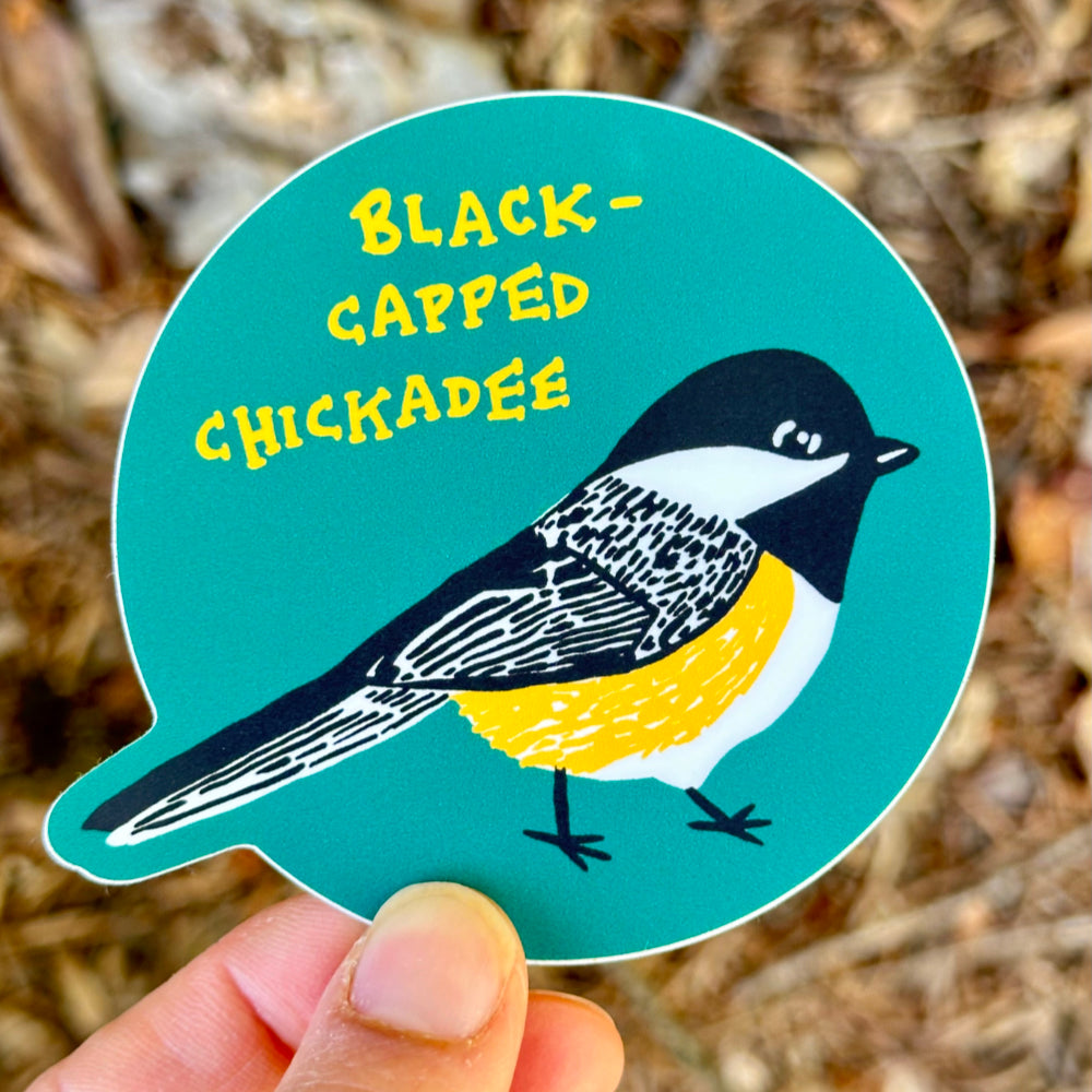 Black-Capped Chickadee Sticker