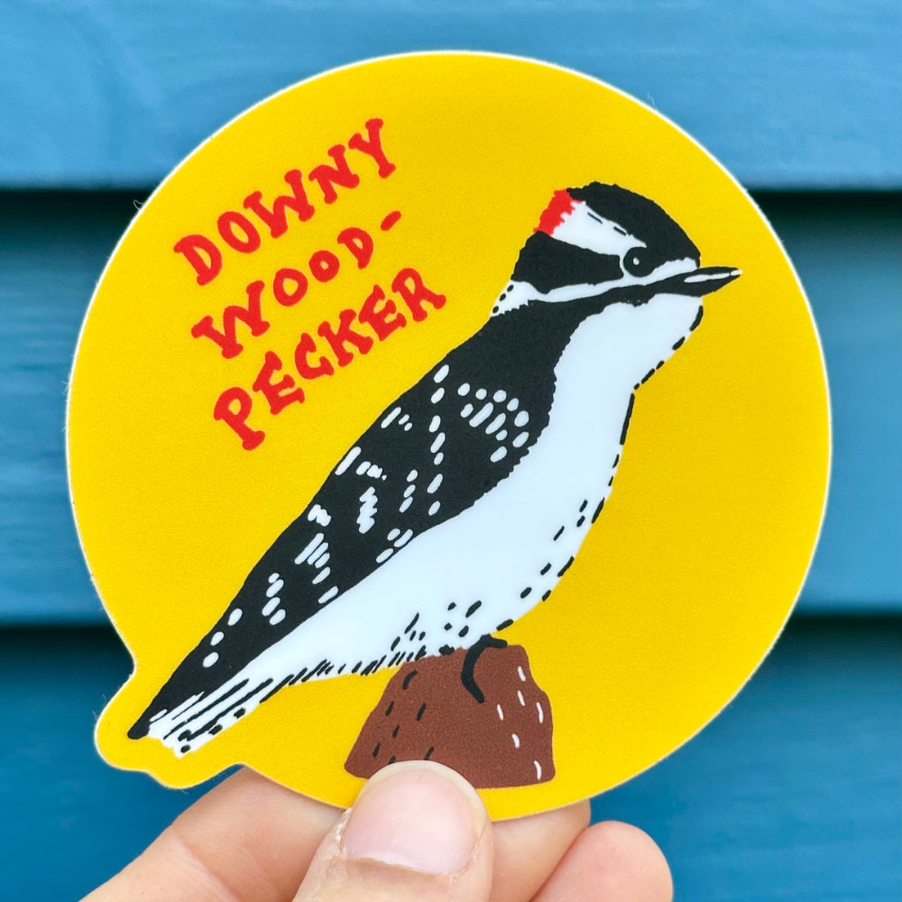 Downy Woodpecker Sticker