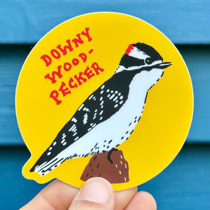 Downy Woodpecker Sticker