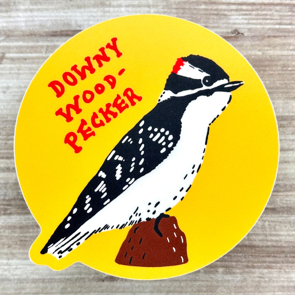 Downy Woodpecker Sticker