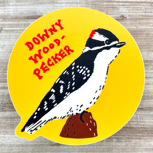 Downy Woodpecker Sticker