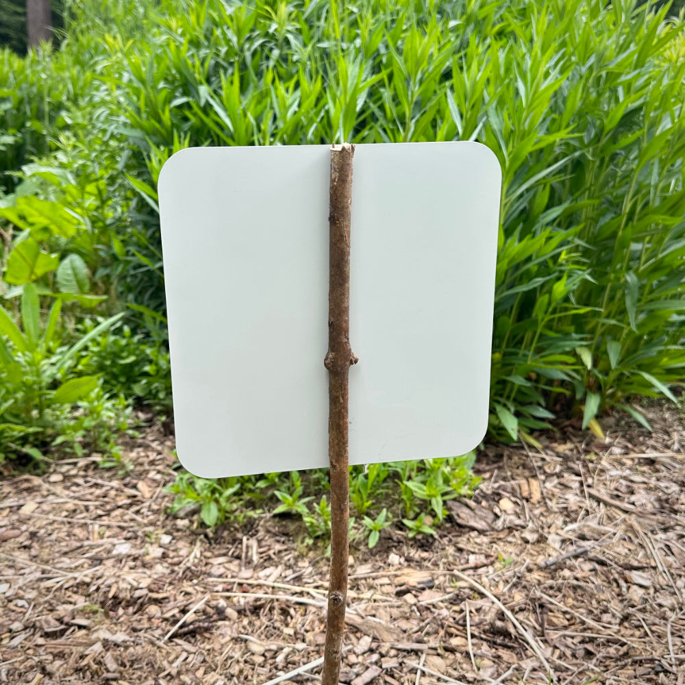 Grow Your Bird Feeder Yard Sign