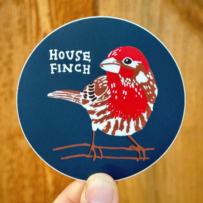 House Finch Sticker