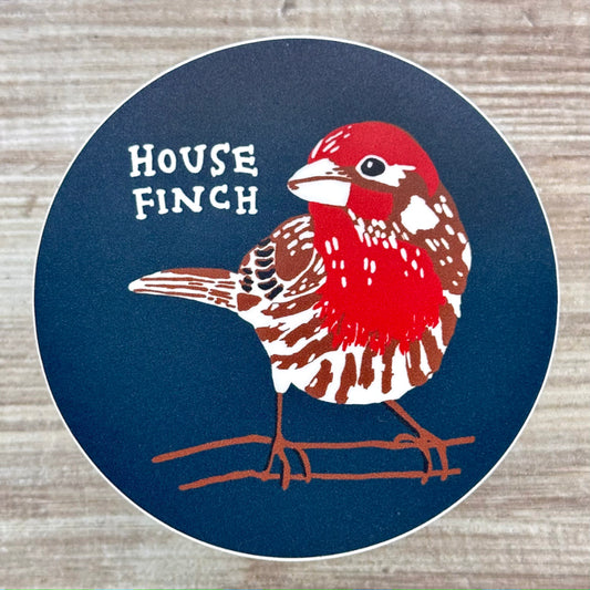 House Finch Sticker