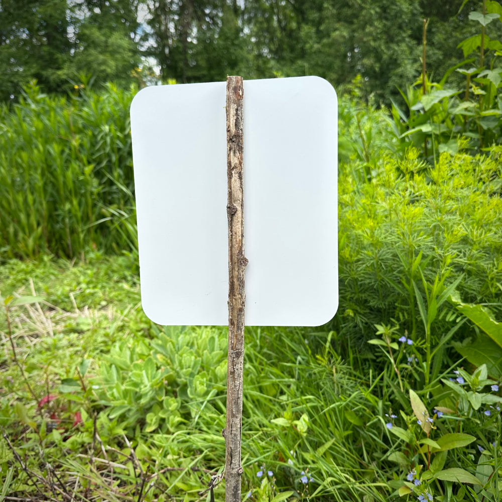 It's A Pollinator Party Yard Sign
