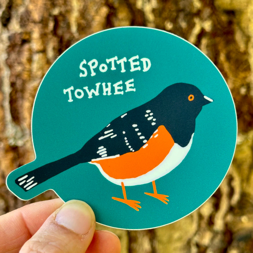 Spotted Towhee Sticker
