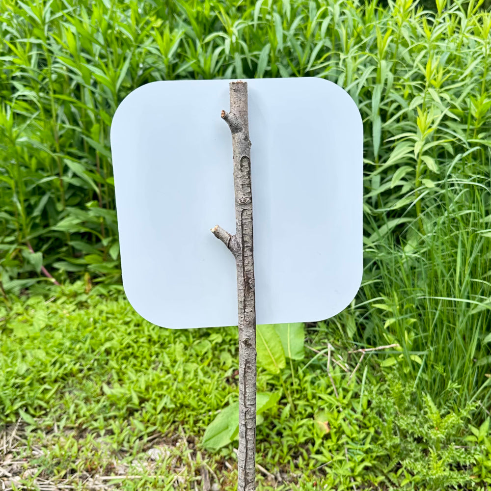 Thank A Mason Bee Today Yard Sign