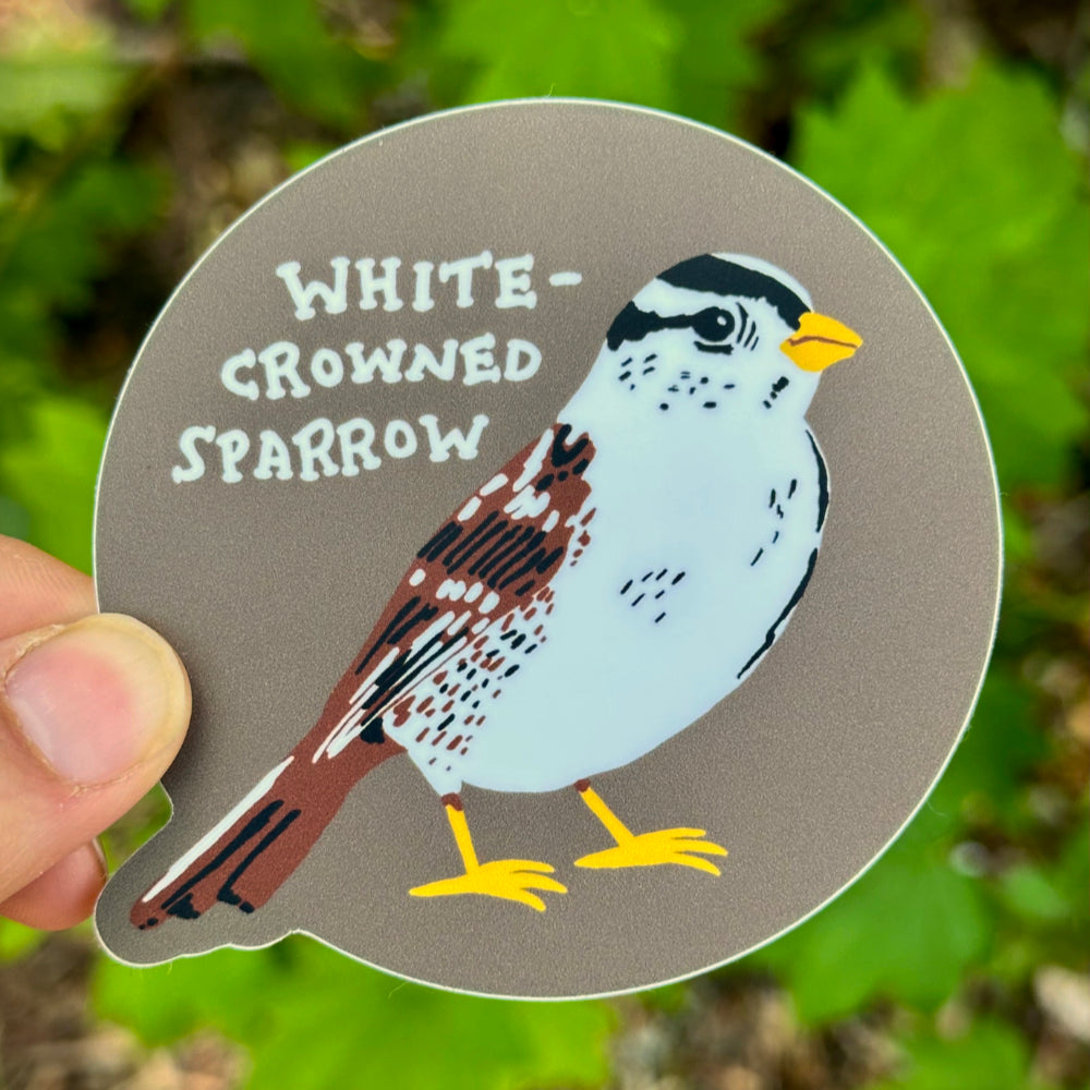 White-Crowned Sparrow Sticker