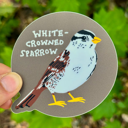 White-Crowned Sparrow Sticker
